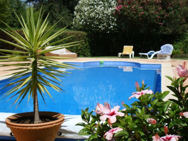 Pool Terrace Renovation in Fairhope